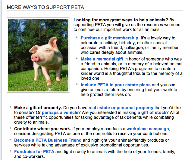 Writing in a College Student's Eyes PETA Member