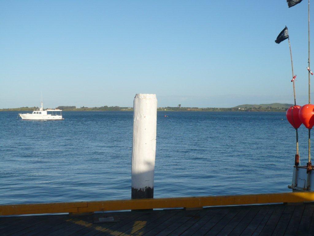 Fresh Fish Market, Tauranga (NZ) by Big Fil Eat and Be Merry Crew