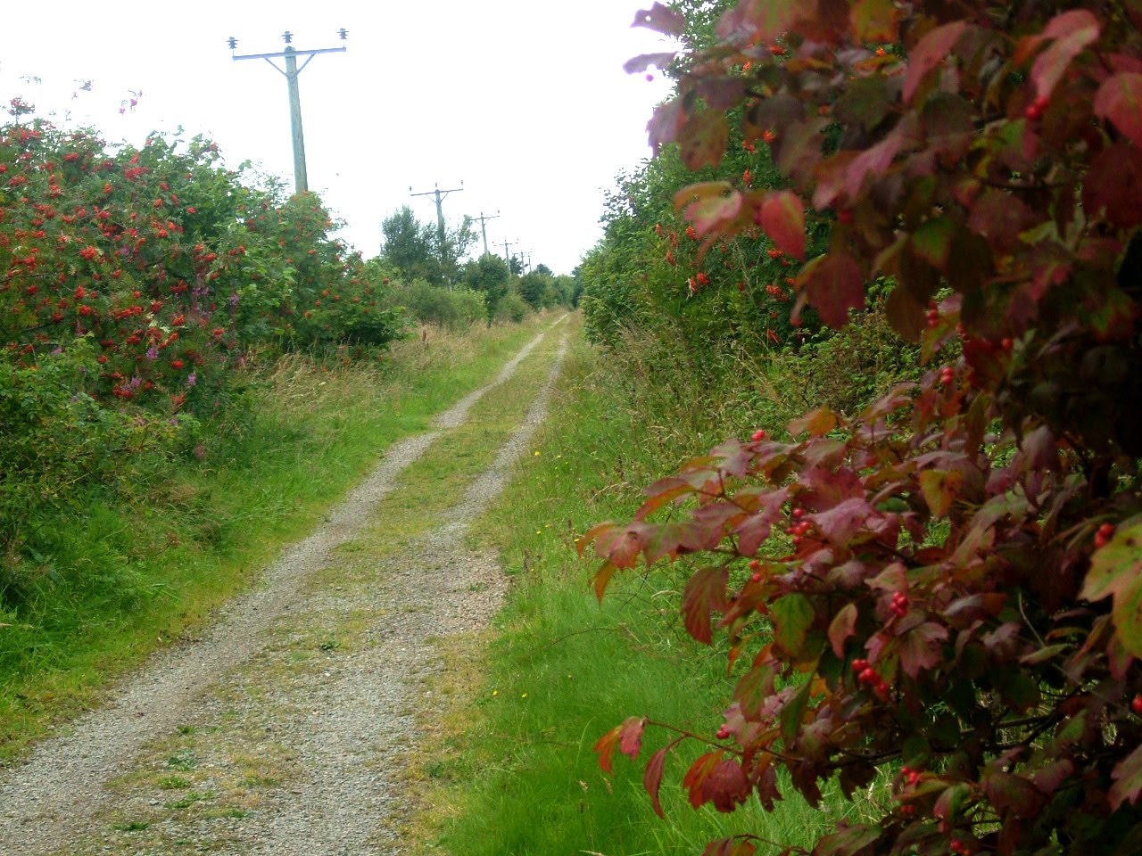 Walking The Line Mintlaw to Longside