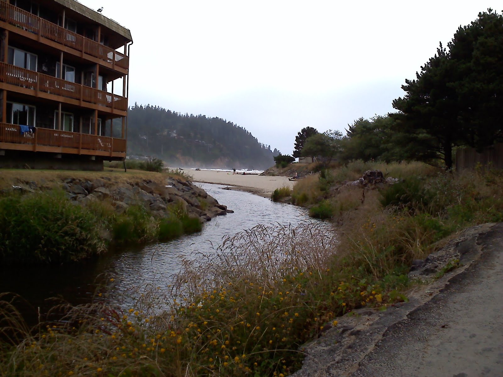 Roselyn Neskowin Beach State Park Oregon
