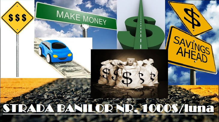Str. Banilor Nr.1000$/luna