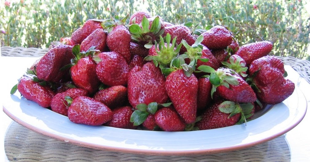 Eating Chilean: Chilean strawberries