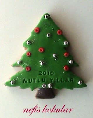 NEFİS KOKULAR: 2010 Yılbaşı Kurabiyeleri