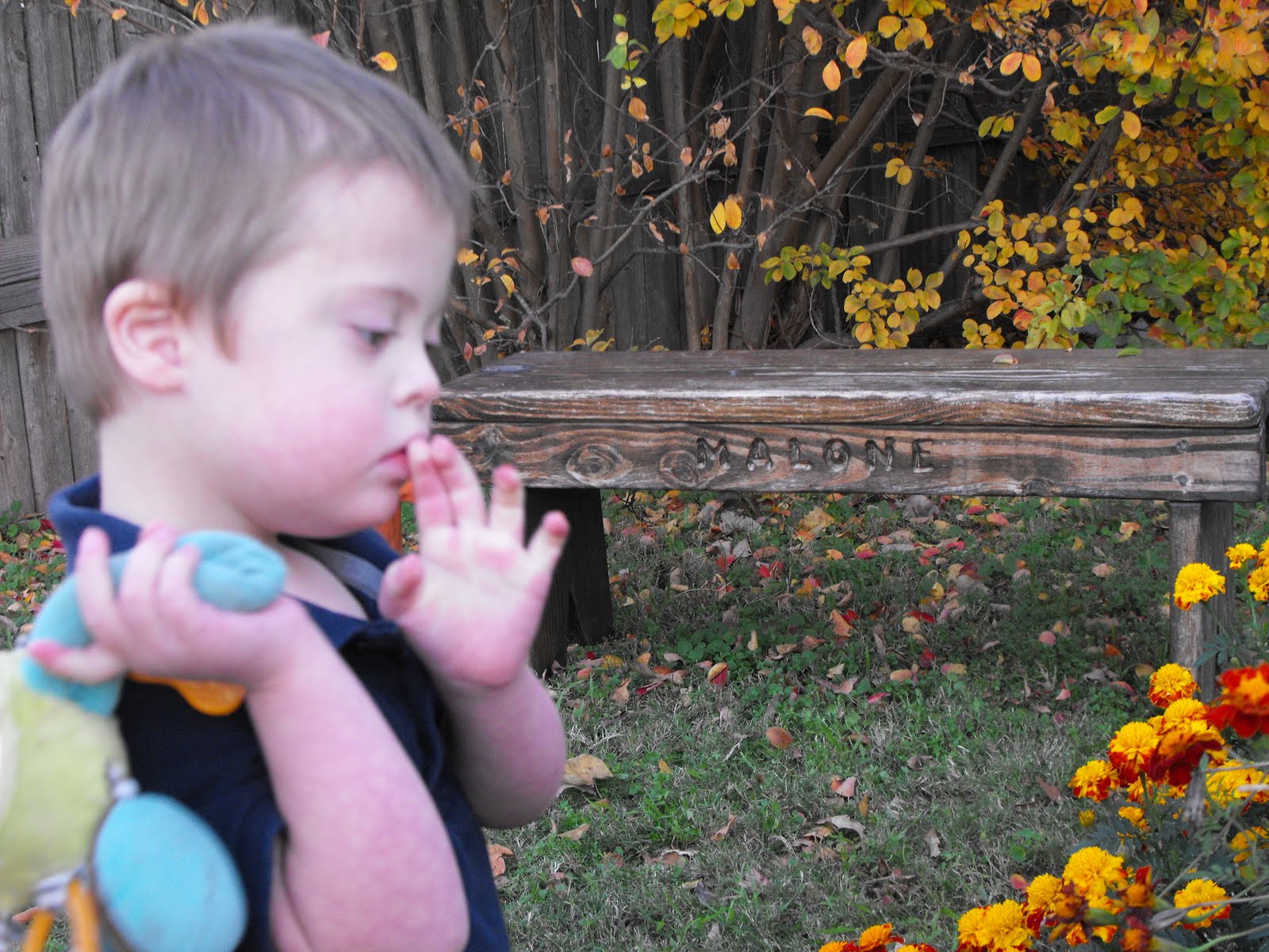 [Marys+pics+fall+2009-Blake's+pics+208.JPG]