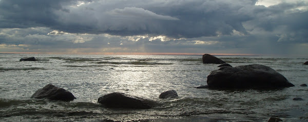 Kaksik
