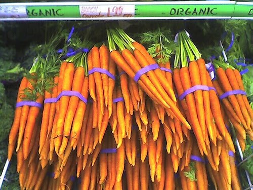 Printable Organic Coupons