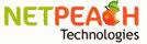 Junior Oracle Applications Developer Netpeach Technologt Services Pvt.Ltd.