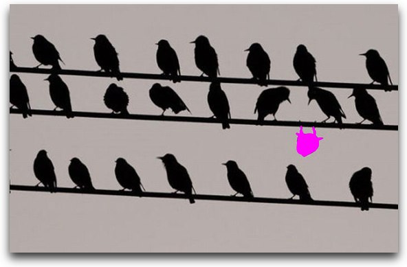 [birds-on-wire.jpg]