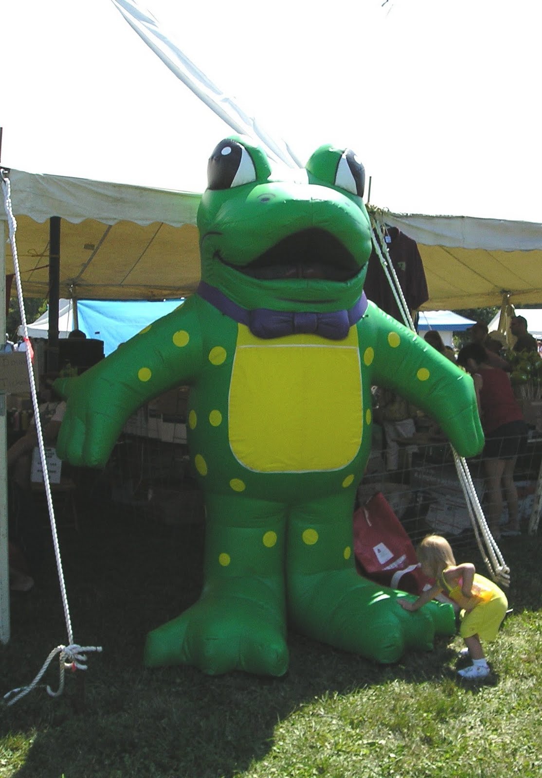 The Valley City Frog Jump Festival Valley City, Ohio