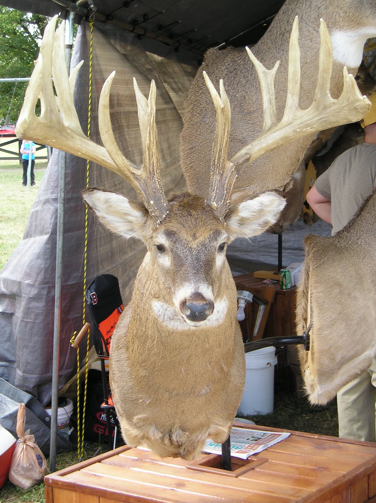 Rarden Whitetail Deer Festival Rarden, Ohio Ohio Festivals