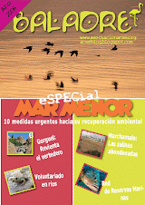Baladre 2008 (revista de ANSE)