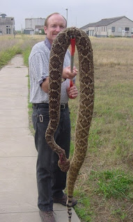 rattlesnake texas giant manor killed legend urban recipes durango