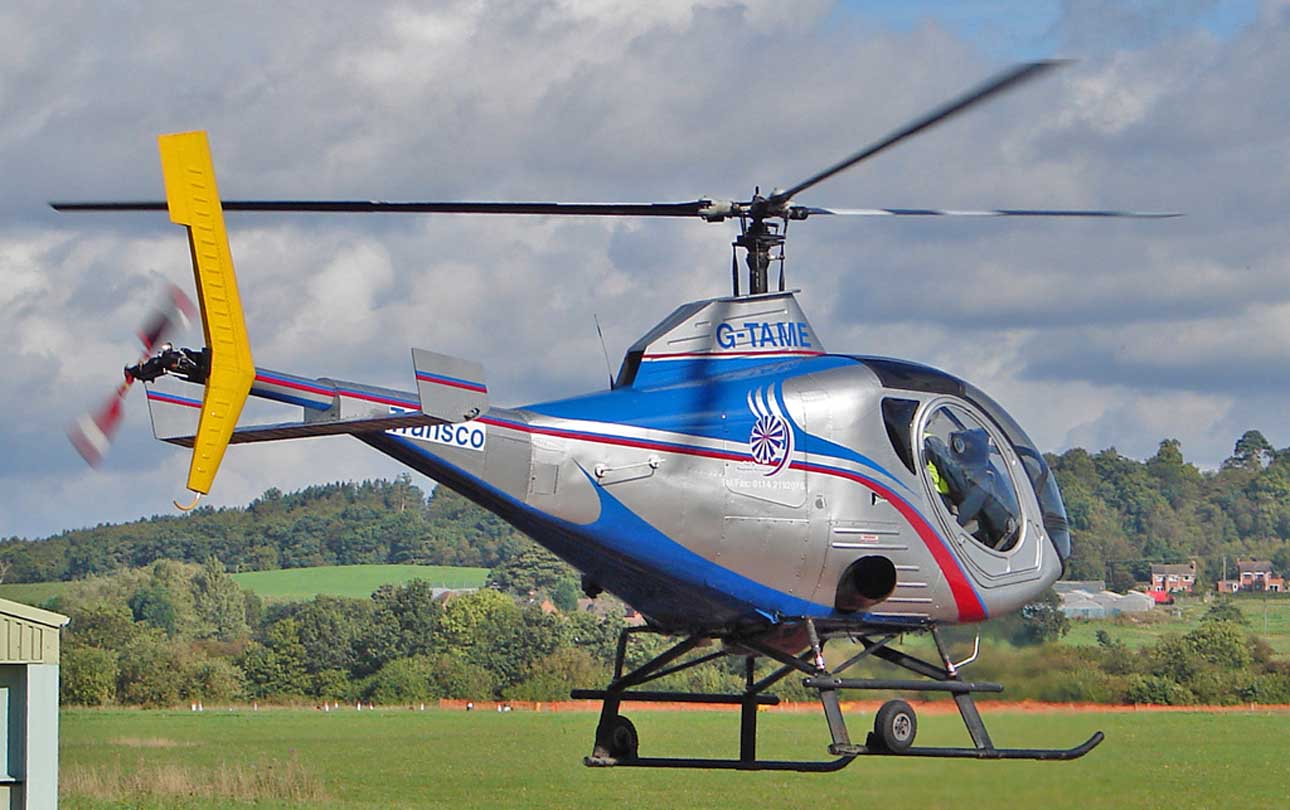 nhungdoicanh Schweizer S333