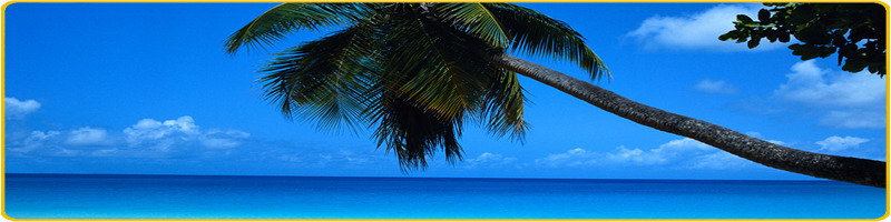 Koh Samet Hotels Deal, Discounted Hotels and Resorts in Koh Samet, Rayong, Chanthaburi.