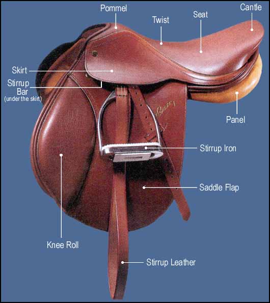 All About Horses What Is Horse Tack all-about-horses-what-is-horse-tack