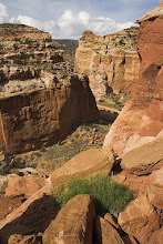 Capitol Gorge