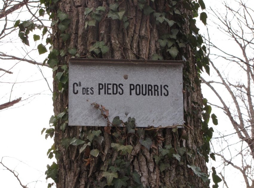 Traiter Un Arbre Coup Ef Bf Bd Pour En Faire Une Decoration Traiter Un Arbre Coup Ef Bf Bd Pour En Faire Une Decoration