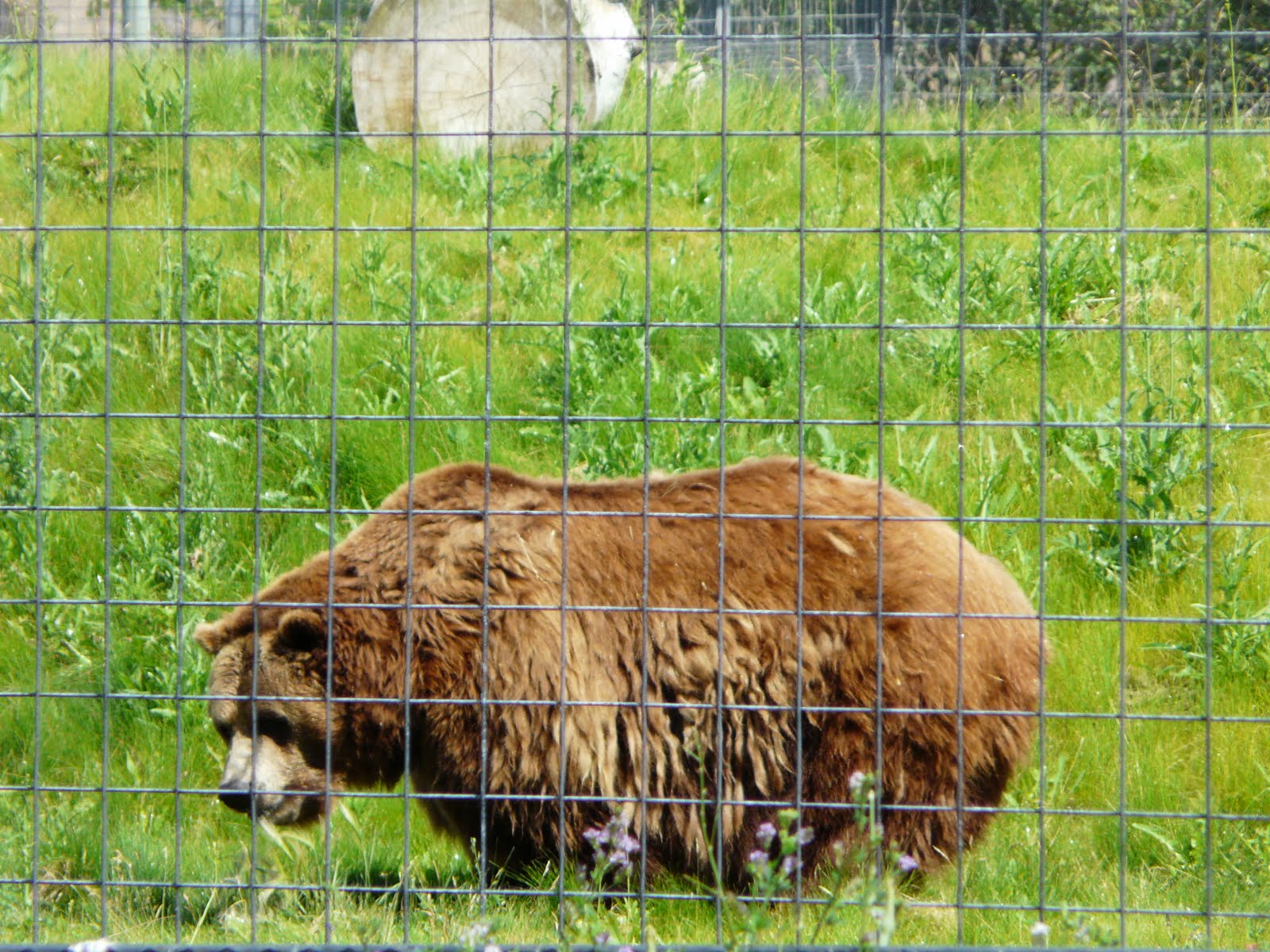 searching for Art in life Kamloops... must be the hottest place on earth