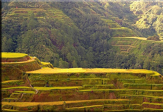 Garden Of Eden Philippines / GARDEN OF EDEN IS IN THE PHILIPPINES