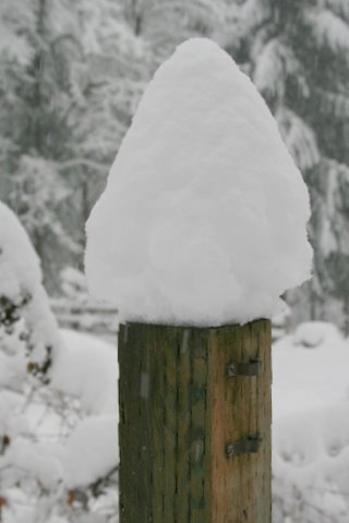 [IMG_4589.JPG]