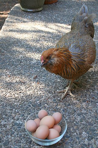 [IMG_2711.jpg]