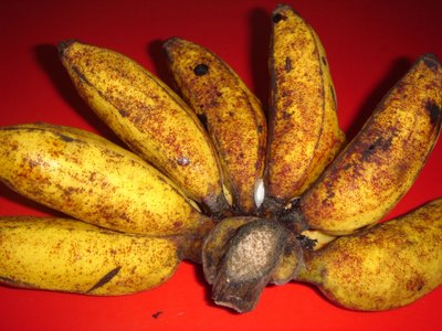 Pengat pisang berangan