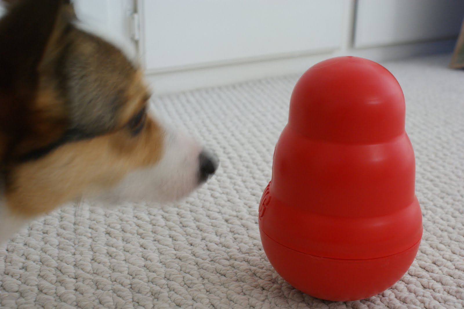Kong Wobbler Review - Food Puzzle Toy