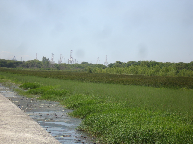 [DSC03029.JPG]