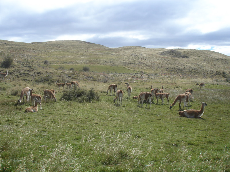 [DSC04272.JPG]