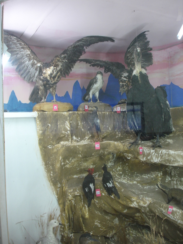 [DSC04321.JPG]
