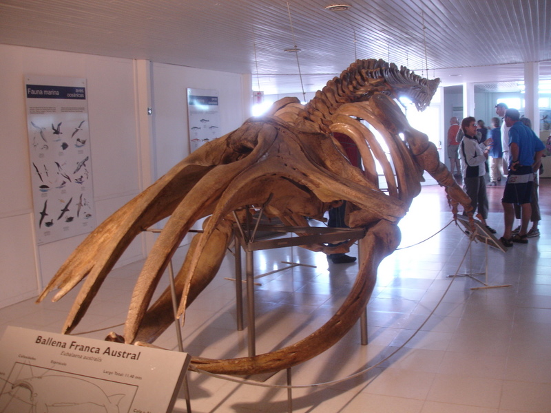 [DSC04605.JPG]