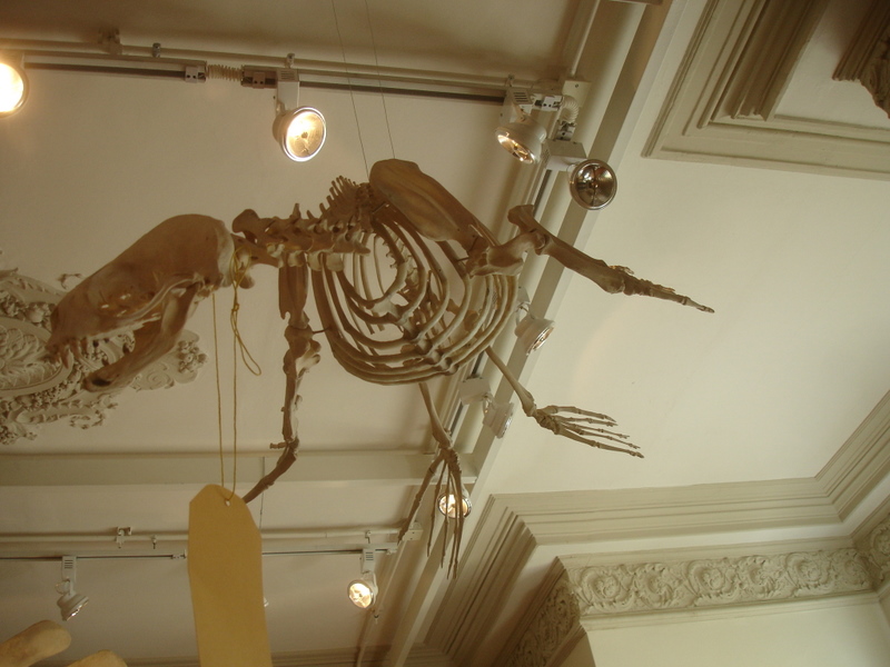 [DSC04721.JPG]