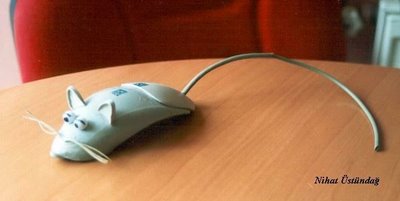 [mouse3.jpg]