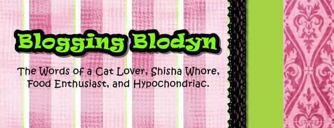 Blogging Blodyn
