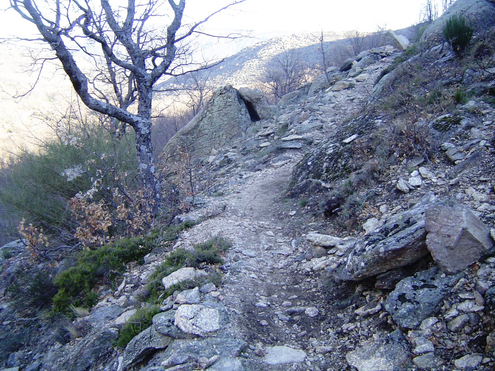 [DSC05493.JPG]