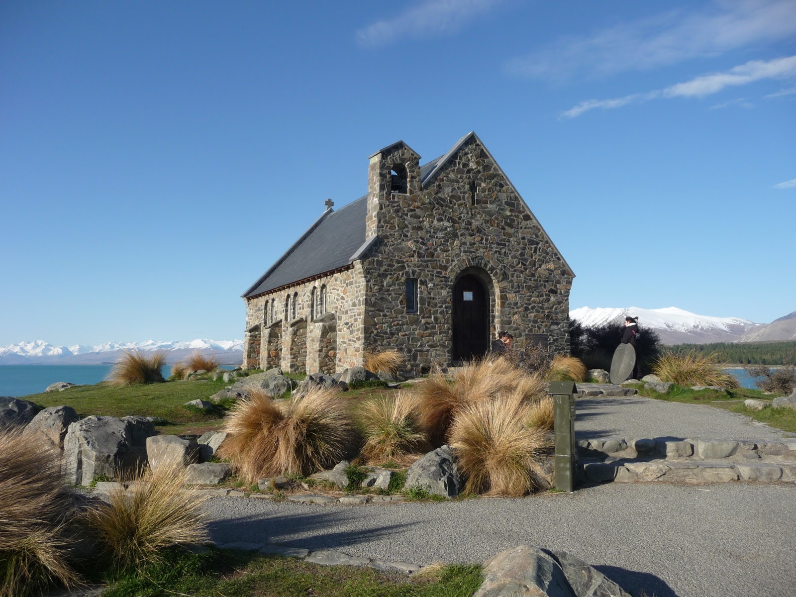 Matty's Blog: Lake Tekapo and Mt Cook