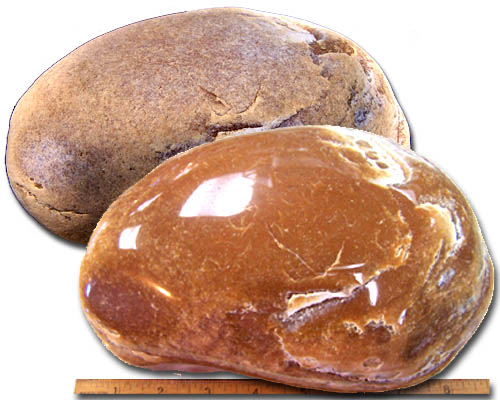 Agates of the Oregon Coast: Florida Beachcomber finds 8¼ pound Agate!