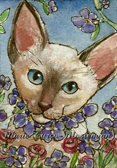 Cat Painting ACEO