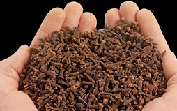 Cloves