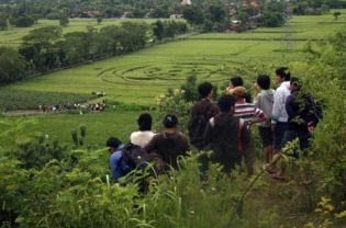 Crop+circle+II+a.jpg