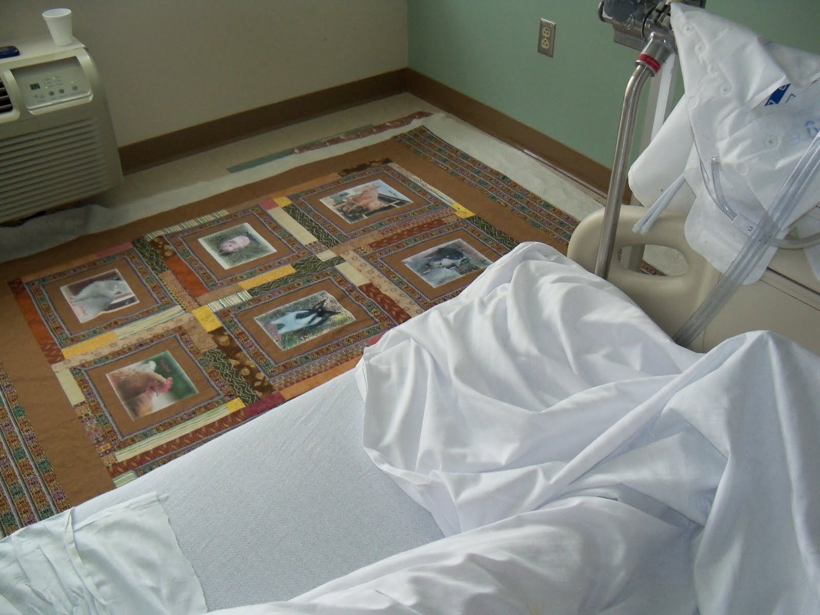 QUILTING KRAZY The Hospital Quilt or the "Back" Quilt