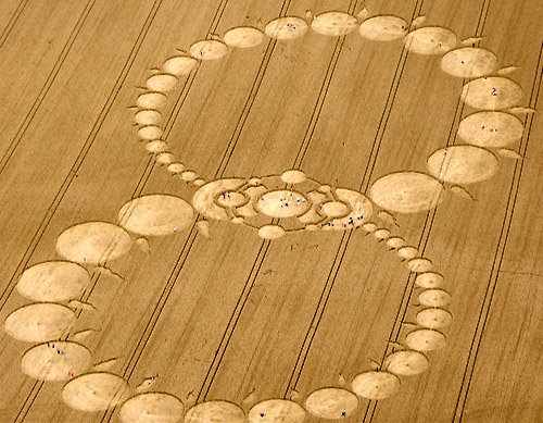 [crop-circle-8-8-2008.jpg]