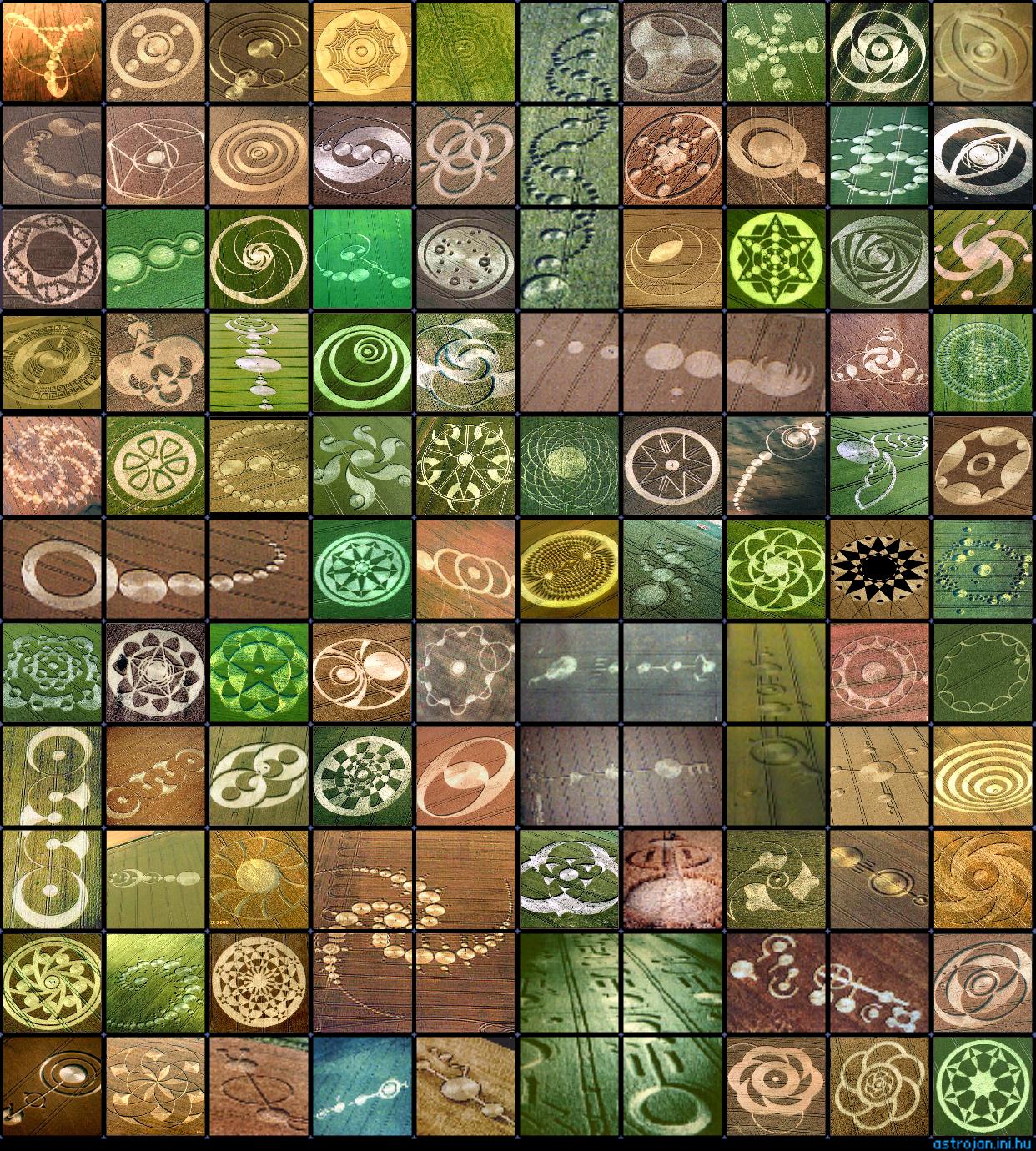 [crop-circles.jpg]