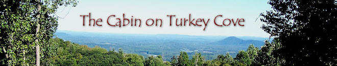 The Cabin on Turkey Cove