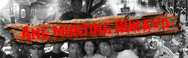 Ang Munting Bukayo - diaries from the land of million dreams