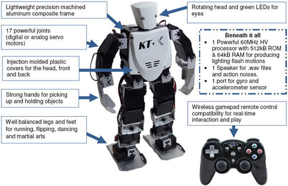 introduction to humanoid robotics