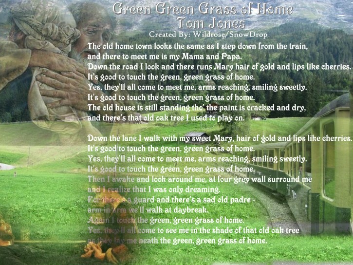 My Poems, Recipes, English & Sinhala Lyrics, Quotes..: Green green grass  of home.