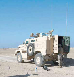 [LAND+-+Cougar+011.jpg]