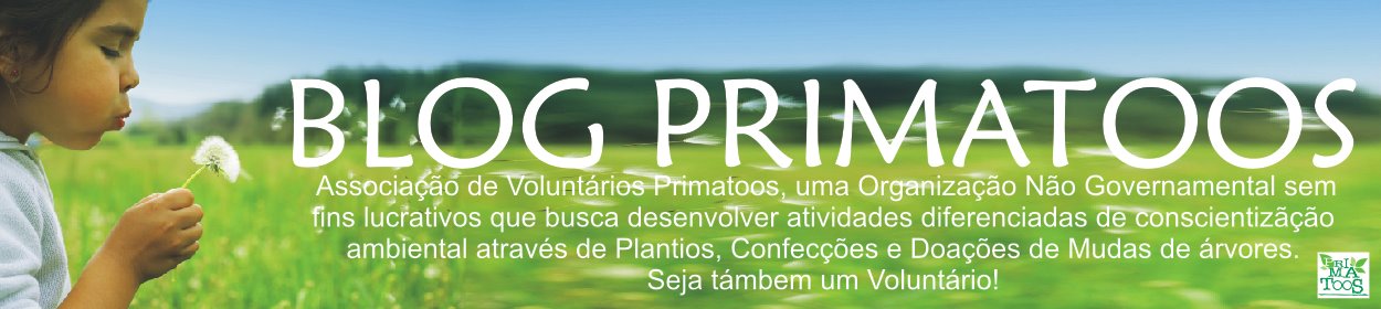 Blog da Primatoos