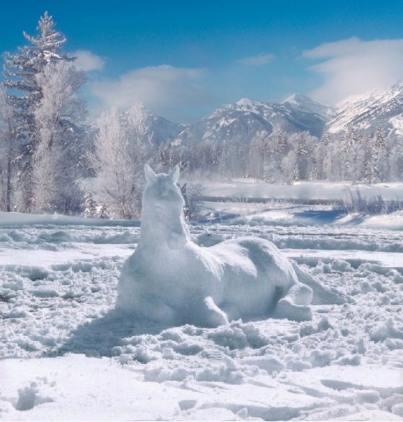 [frozen+horse.jpg]